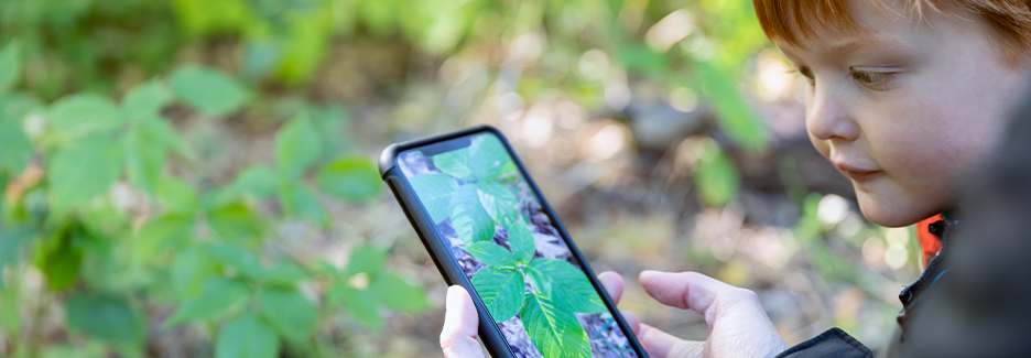 A young boy and his parent use image search on their phone to identify poison ivy in a wooded area.