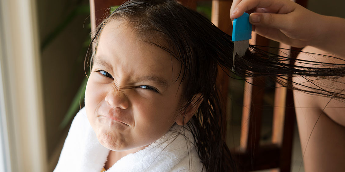 How to prevent and eliminate lice infestations